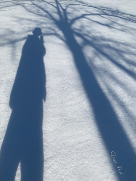 https://i1.wp.com/khungcuahep.com/wp-content/uploads/2022/01/TongMai-2022-DC-first-snow-8c-My-shadow.jpg?resize=451%2C601&ssl=1