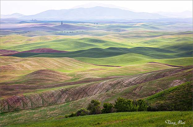 https://khungcuahep.com/wp-content/uploads/2023/06/TongMai-2023-Palouse-for-blog-2c.jpg