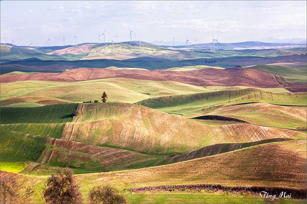 https://khungcuahep.com/wp-content/uploads/2023/06/TongMai-2023-Palouse-for-blog-2m.jpg