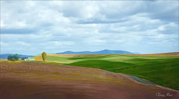 https://khungcuahep.com/wp-content/uploads/2023/06/TongMai-2023-Palouse-for-blog-2b2-copy.jpg