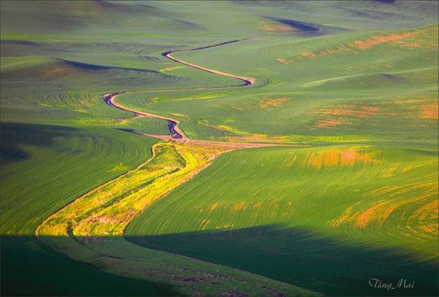 https://khungcuahep.com/wp-content/uploads/2023/06/TongMai-2023-Palouse-for-blog-3g.jpg