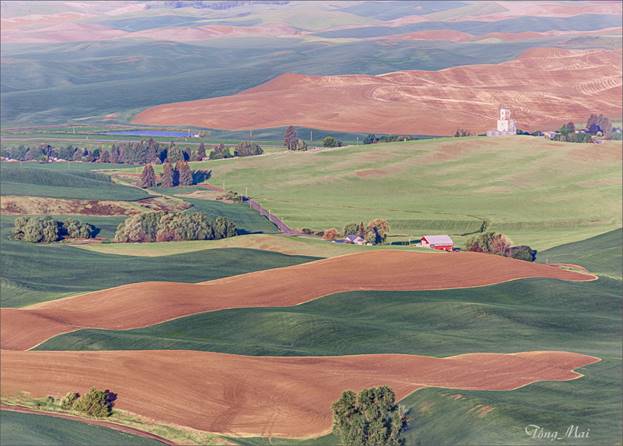 https://khungcuahep.com/wp-content/uploads/2023/06/TongMai-2023-Palouse-for-blog-9w.jpg