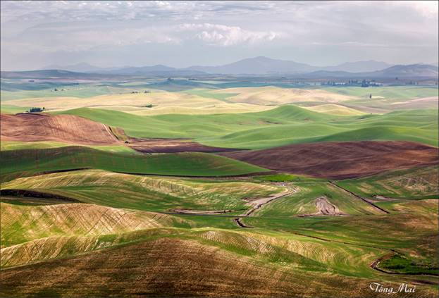 https://khungcuahep.com/wp-content/uploads/2023/06/TongMai-2023-Palouse-for-blog-92.jpg