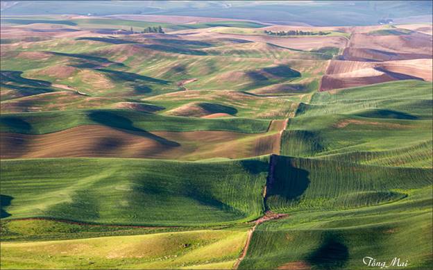 https://khungcuahep.com/wp-content/uploads/2023/06/TongMai-2023-Palouse-for-blog-9za.jpg