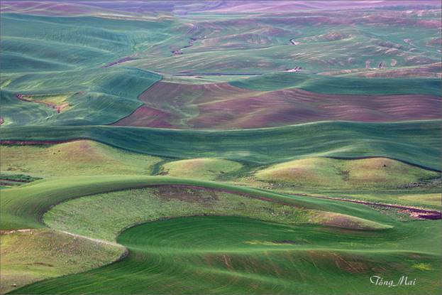 https://khungcuahep.com/wp-content/uploads/2023/06/TongMai-2023-Palouse-for-blog-9z2.jpg