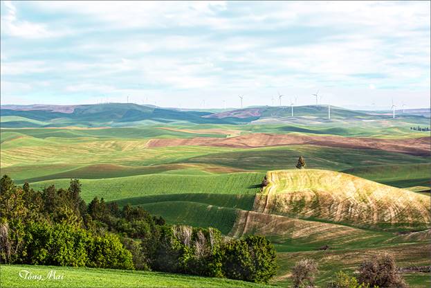 https://khungcuahep.com/wp-content/uploads/2023/06/TongMai-2023-Palouse-for-blog-2d-1.jpg