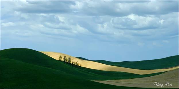 https://khungcuahep.com/wp-content/uploads/2023/06/TongMai-2023-Palouse-for-blog-9u2.jpg