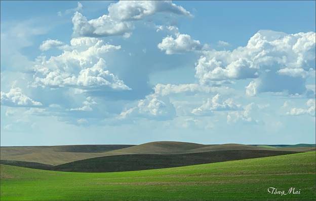 https://khungcuahep.com/wp-content/uploads/2023/06/TongMai-2023-Palouse-for-blog-3q.jpg