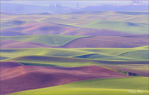 https://khungcuahep.com/wp-content/uploads/2023/06/TongMai-2023-Palouse-for-blog-9z4.jpg