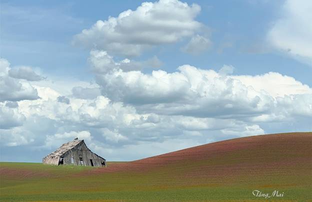 https://khungcuahep.com/wp-content/uploads/2023/06/TongMai-2023-Palouse-for-blog-2n.jpg