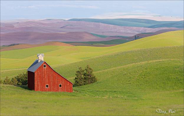 https://khungcuahep.com/wp-content/uploads/2023/06/TongMai-2023-Palouse-for-blog-2o.jpg