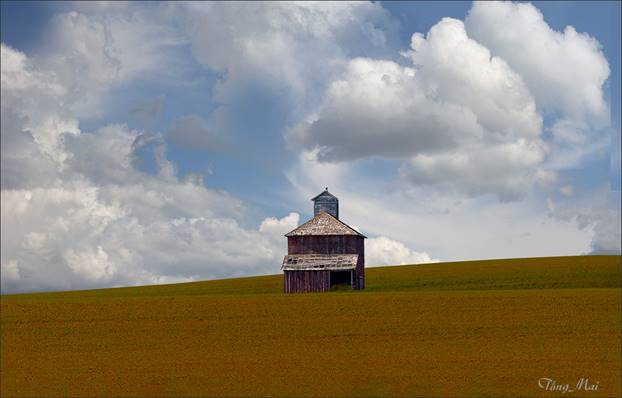 https://khungcuahep.com/wp-content/uploads/2023/06/TongMai-2023-Palouse-for-blog-3.jpg