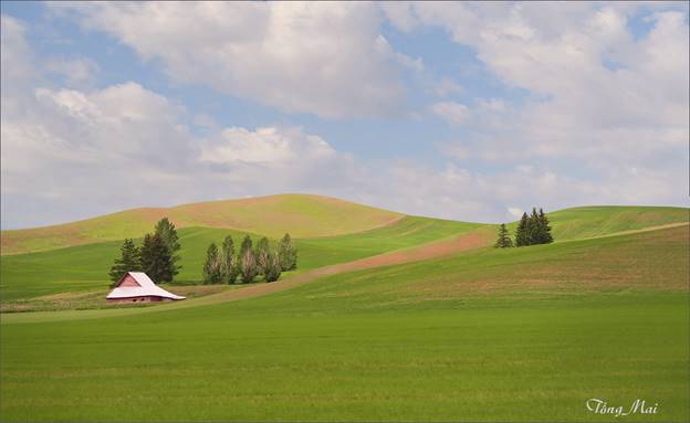 https://khungcuahep.com/wp-content/uploads/2023/06/TongMai-2023-Palouse-for-blog-3e.jpg