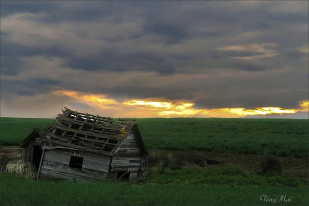 https://khungcuahep.com/wp-content/uploads/2023/06/TongMai-2023-Palouse-for-blog-2l.jpg