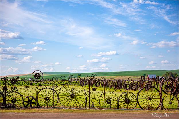 https://khungcuahep.com/wp-content/uploads/2023/06/TongMai-2023-Palouse-for-blog-9z9.jpg