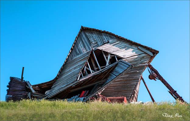 https://khungcuahep.com/wp-content/uploads/2023/06/TongMai-2023-Palouse-for-blog-9z98.jpg