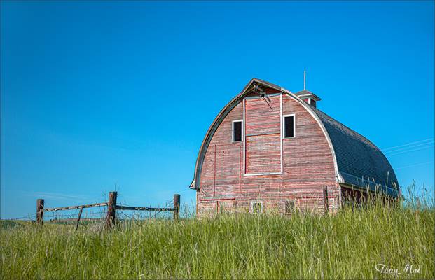 https://khungcuahep.com/wp-content/uploads/2023/06/TongMai-2023-Palouse-for-blog-9y7.jpg