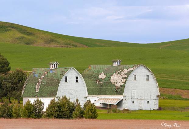 https://khungcuahep.com/wp-content/uploads/2023/06/TongMai-2023-Palouse-for-blog-3n.jpg